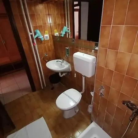 酒店 Golubacki Grad