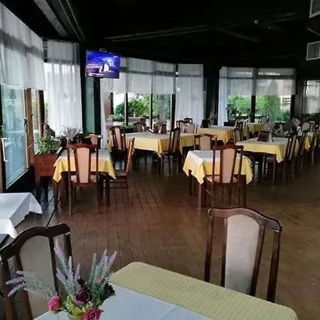 酒店 Golubacki Grad